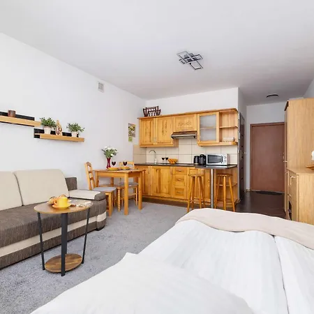 아파트 Bright Studio With Balcony In By Renters 무르자시츨