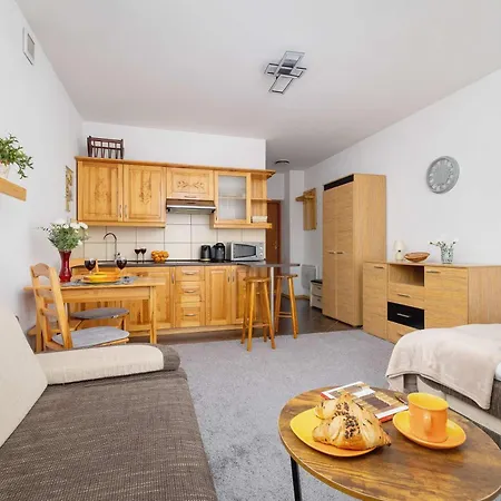 Bright Studio With Balcony In By Renters 아파트 무르자시츨